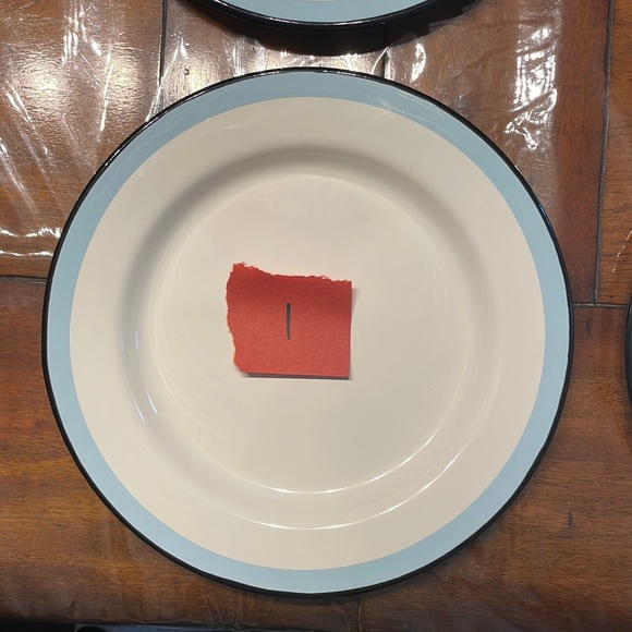 NWOT Set of 6 Hearth & Hand Magnolia Enamel Dinner Plates Farmhouse - Picture 3 of 13